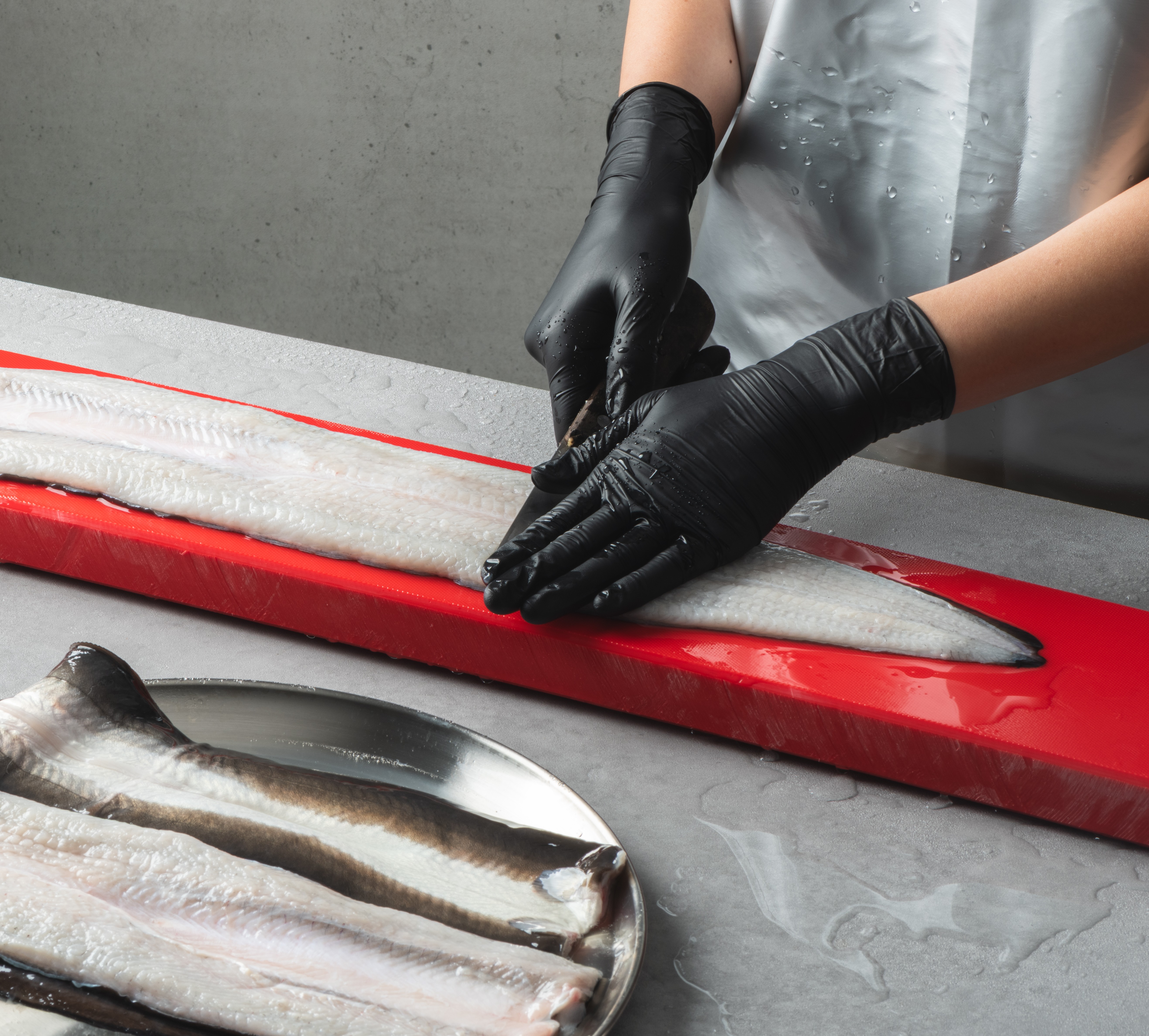 조선장어 국산 자포니카 민물장어 생물 1kg 손질 후 650g 내외