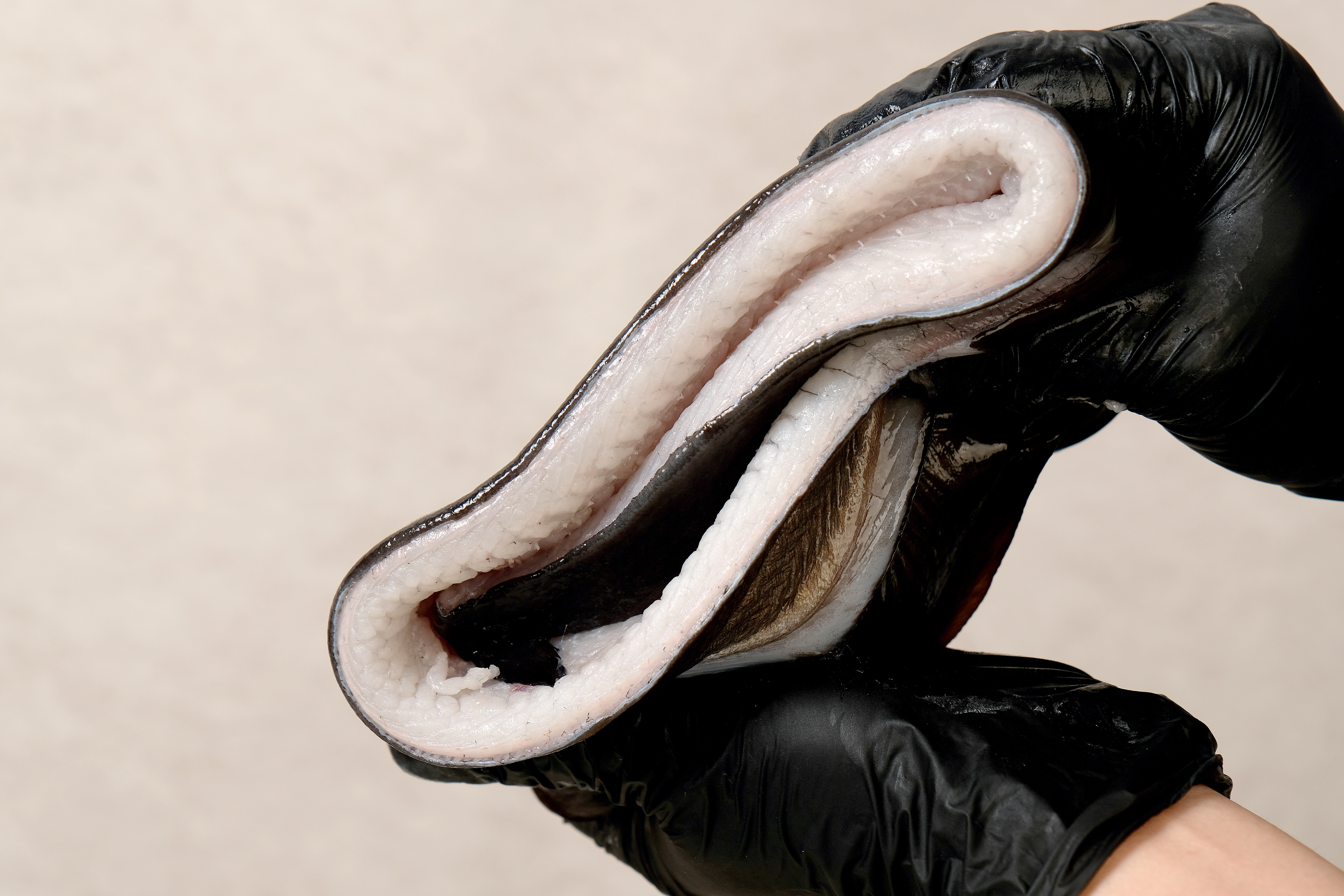 품질 관리 이미지